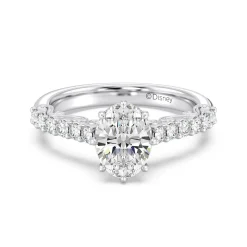Enchanted Star Lab Grown Diamond 14K Gold Cinderella Filigree Engagement Ring
