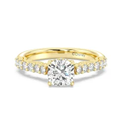 Enchanted Star Lab Grown Diamond 14K Gold Cinderella Filigree Engagement Ring